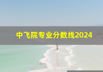 中飞院专业分数线2024