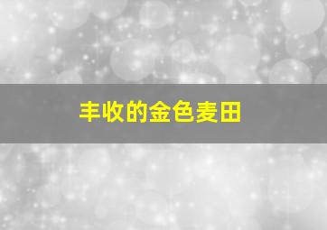 丰收的金色麦田