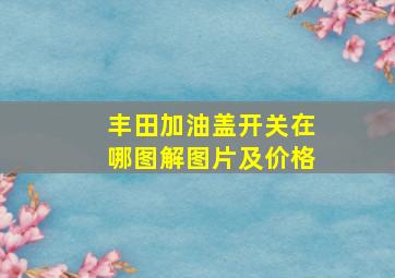 丰田加油盖开关在哪图解图片及价格