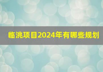 临洮项目2024年有哪些规划