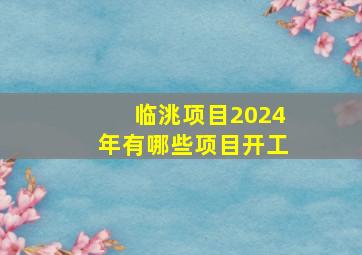 临洮项目2024年有哪些项目开工