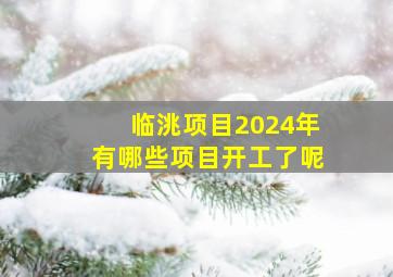 临洮项目2024年有哪些项目开工了呢