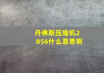 丹佛斯压缩机2856什么意思啊