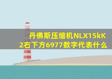 丹佛斯压缩机NLX15kK2右下方6977数字代表什么