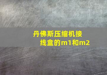 丹佛斯压缩机接线盒的m1和m2