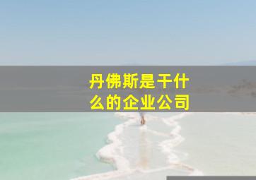 丹佛斯是干什么的企业公司