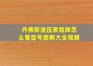 丹佛斯液压泵铭牌怎么看型号图解大全视频