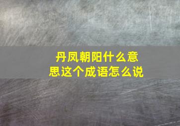 丹凤朝阳什么意思这个成语怎么说