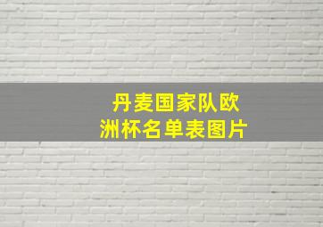 丹麦国家队欧洲杯名单表图片