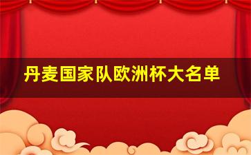 丹麦国家队欧洲杯大名单