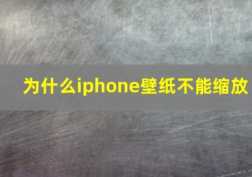 为什么iphone壁纸不能缩放