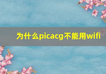 为什么picacg不能用wifi