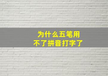 为什么五笔用不了拼音打字了