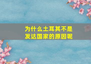 为什么土耳其不是发达国家的原因呢