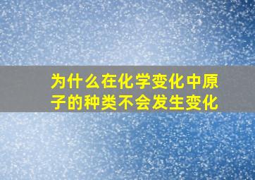 为什么在化学变化中原子的种类不会发生变化