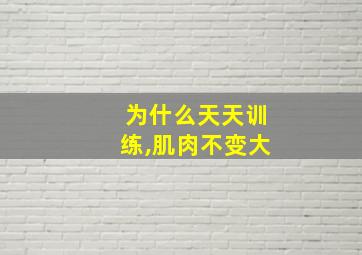 为什么天天训练,肌肉不变大