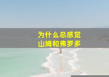 为什么总感觉山姆和弗罗多