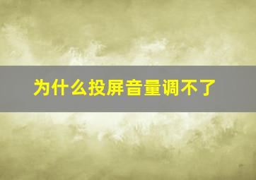 为什么投屏音量调不了