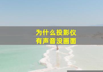 为什么投影仪有声音没画面