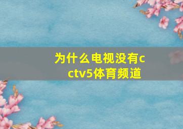 为什么电视没有cctv5体育频道