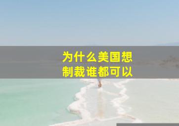 为什么美国想制裁谁都可以