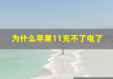 为什么苹果11充不了电了