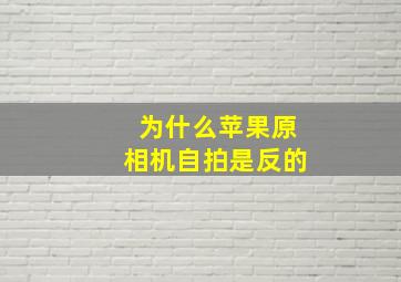 为什么苹果原相机自拍是反的