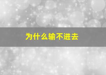 为什么输不进去