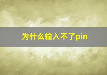 为什么输入不了pin