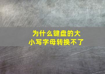 为什么键盘的大小写字母转换不了