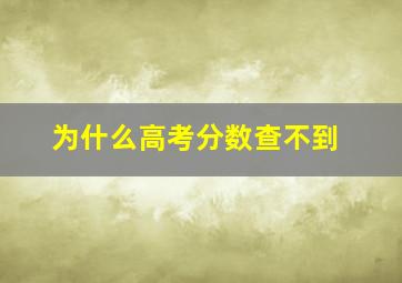 为什么高考分数查不到