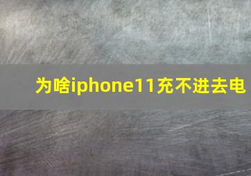 为啥iphone11充不进去电