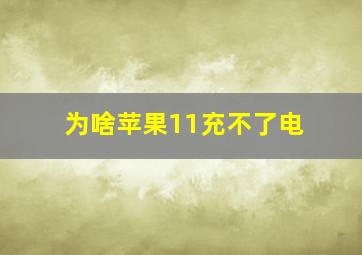 为啥苹果11充不了电