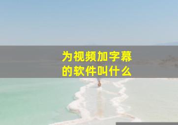 为视频加字幕的软件叫什么