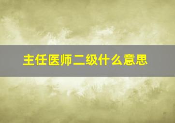 主任医师二级什么意思