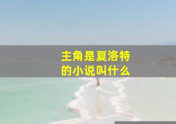 主角是夏洛特的小说叫什么