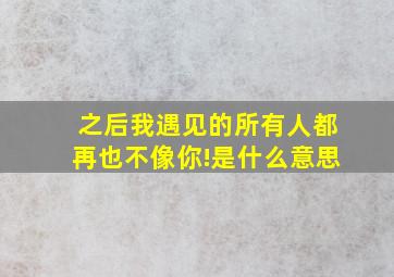 之后我遇见的所有人都再也不像你!是什么意思