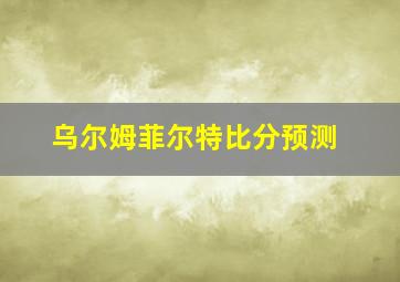 乌尔姆菲尔特比分预测