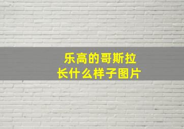 乐高的哥斯拉长什么样子图片