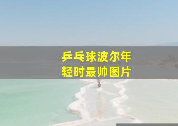 乒乓球波尔年轻时最帅图片