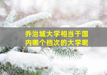 乔治城大学相当于国内哪个档次的大学呢