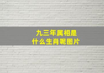 九三年属相是什么生肖呢图片