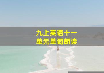 九上英语十一单元单词朗读