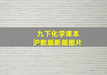 九下化学课本沪教版新版图片