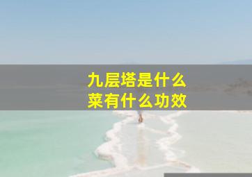 九层塔是什么菜有什么功效