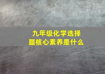 九年级化学选择题核心素养是什么