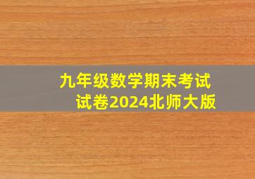 九年级数学期末考试试卷2024北师大版