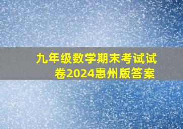 九年级数学期末考试试卷2024惠州版答案