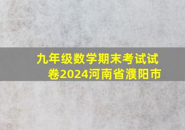 九年级数学期末考试试卷2024河南省濮阳市