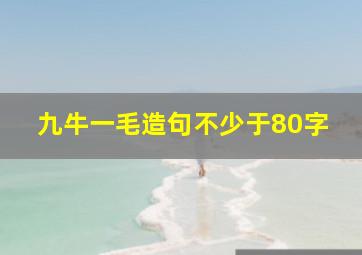 九牛一毛造句不少于80字